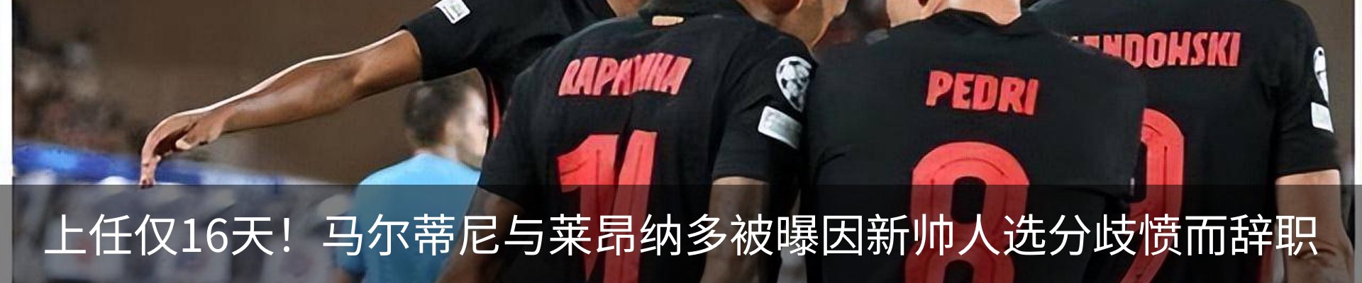行业资讯