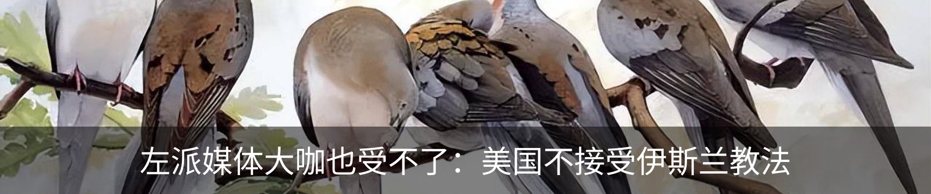 行业资讯