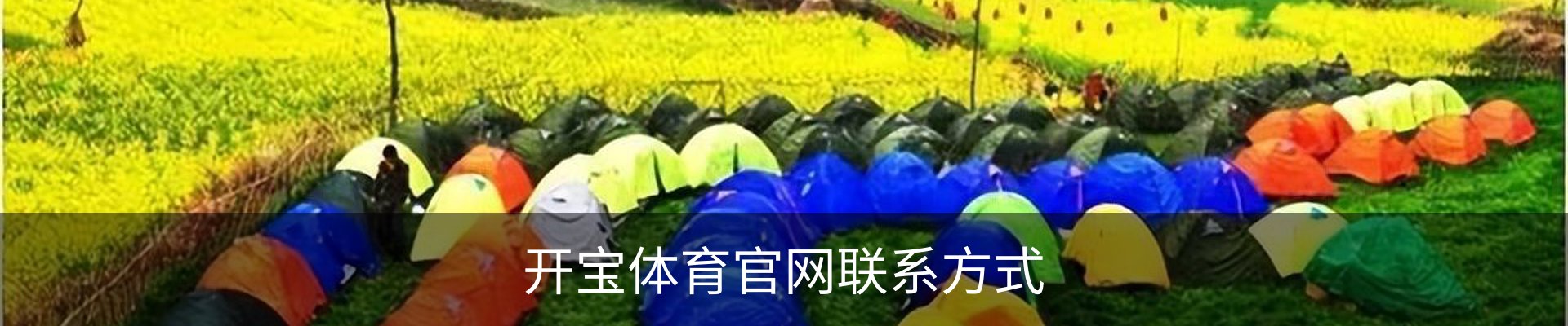 开宝体育官网联系方式