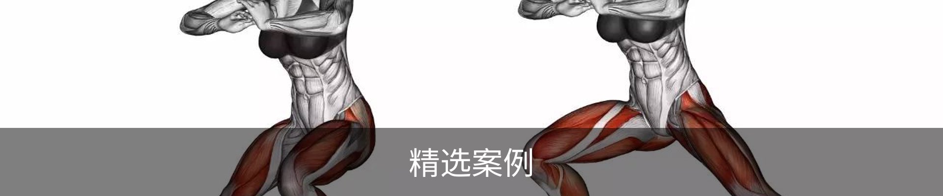 精选案例