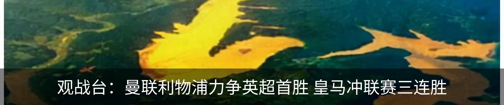 行业资讯