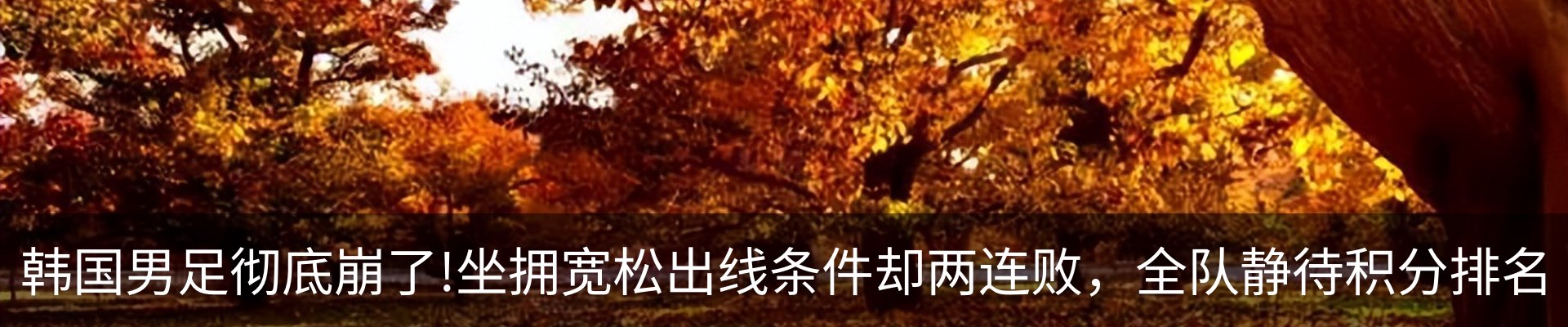 行业资讯